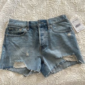 Free People Sofia Denim Shorts